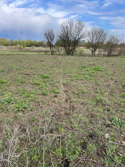 Пропоную до продажу земельну ділянку с. Ч. Слобода