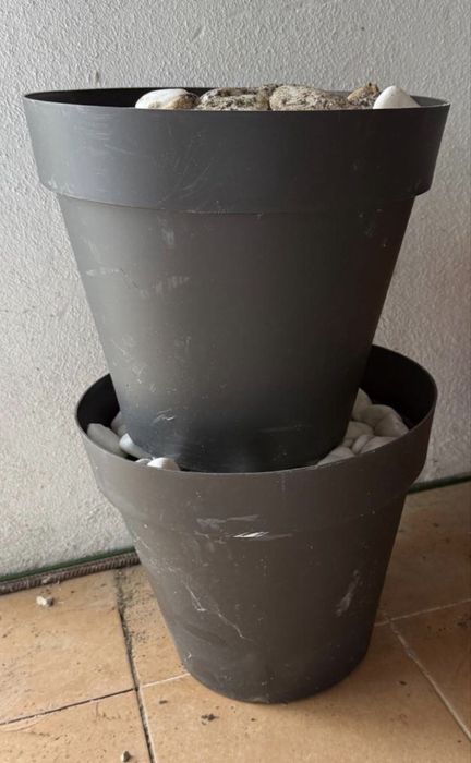 Vendo vasos de cimento/plastico