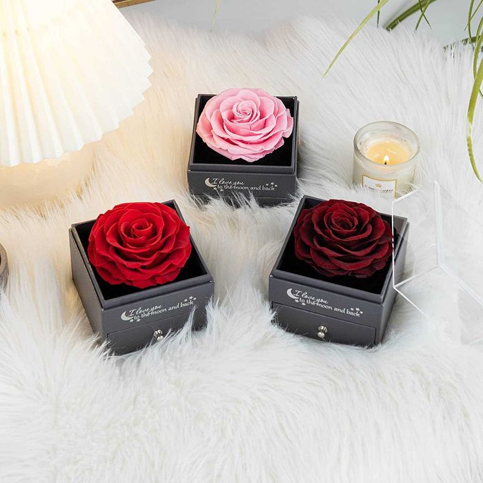 Rosa preservada com corrente de prata