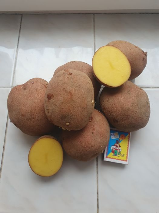 Продам картоплю (Велика), картопля, картошка
