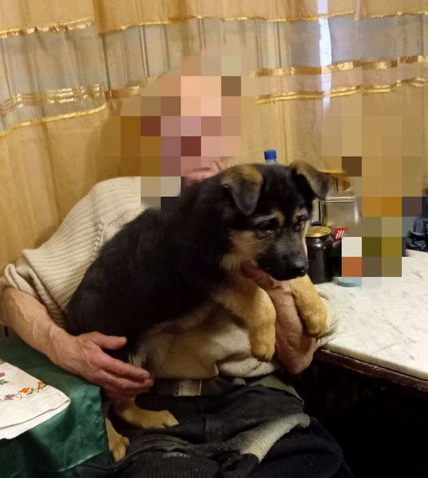 Роскошные суки, крупные.