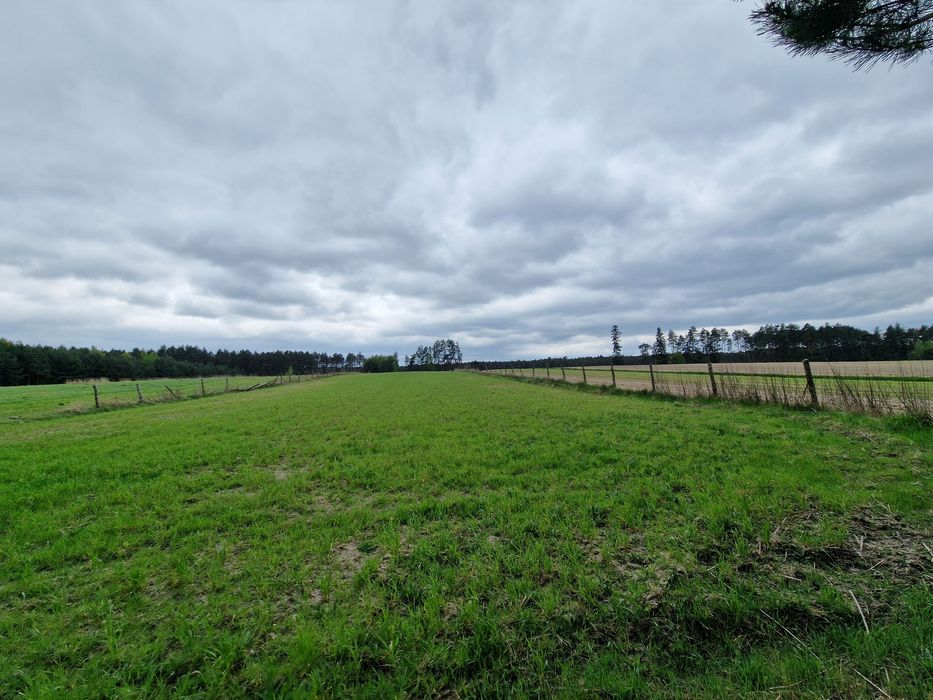 Działka rolno-budowlana 1,39 ha – Zawadki, gm. Susiec – media, las
