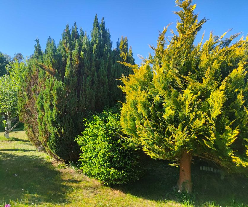 Działka rekreacyjna 600 m² Niekłonice - Widok 2