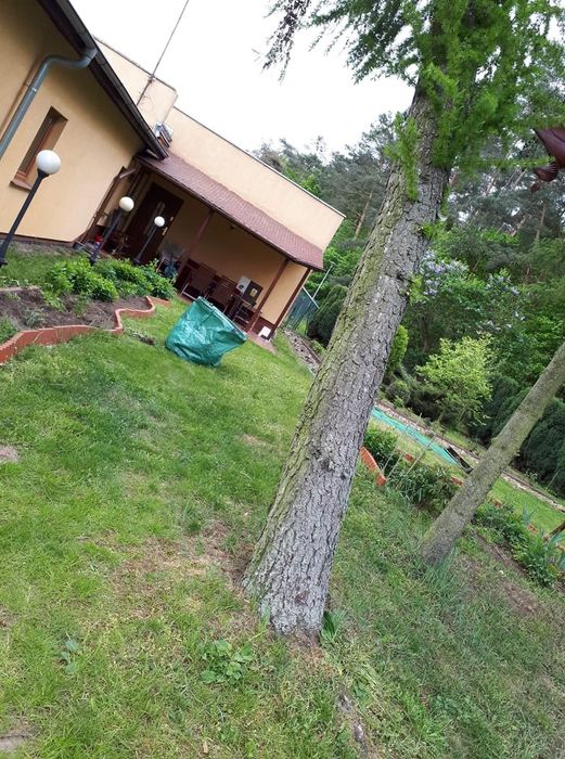 Wynajme posiadłość z domem  ogrodem teren 1,1ha w  lasie  170 mkw przy obwodnicy wschodniej
