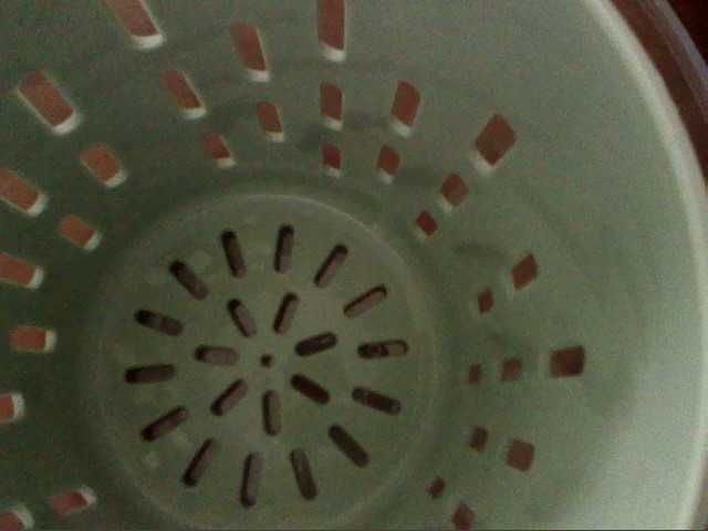 Pojemnik na owoce TO GO