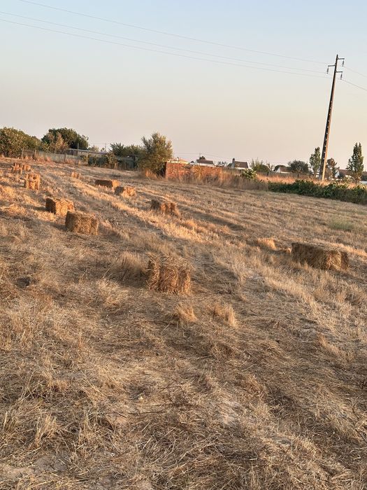 Fardos de palha pequenos