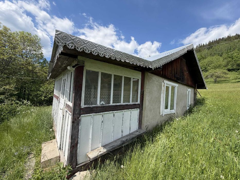 Продається затишний будинок у Карпатах біля лісу