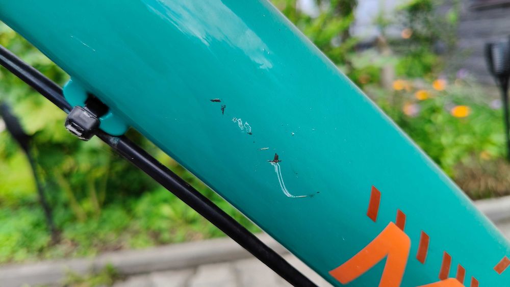 Rower Marin wildcat trail 1