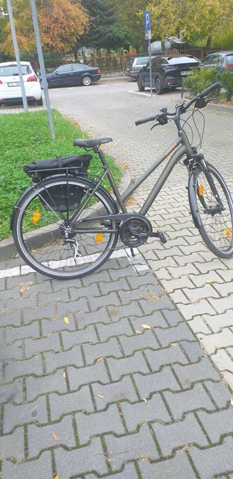 Rower Winora Domingo 24