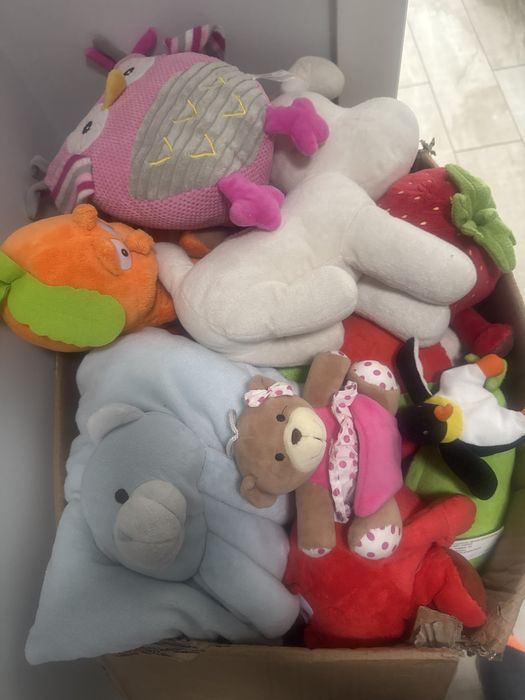 Maskotki duży karton