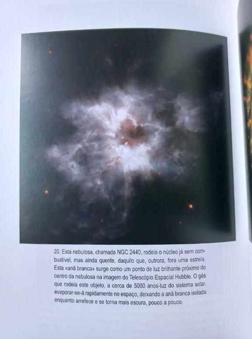 Origens - Neil deGrasse Tyson e Donald Goldsmith