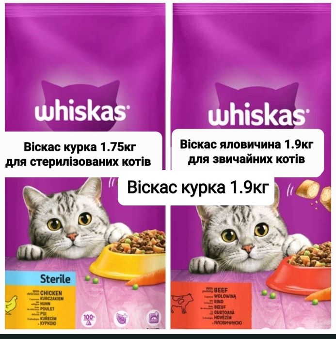 Сухий корм Кітті Kitty для котів