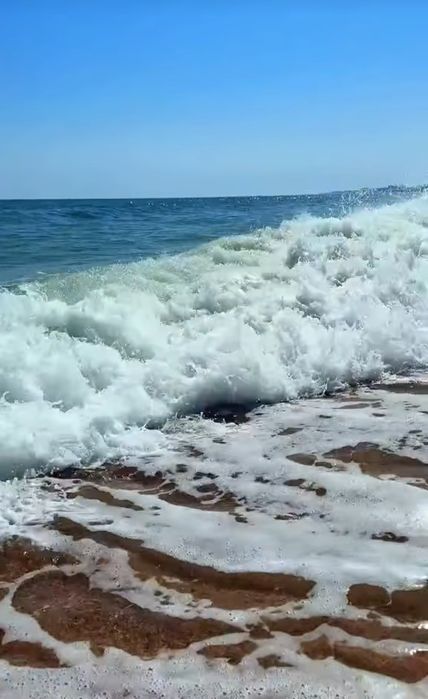 Сдам квартиру в ЖК "Море" на 1 месяц