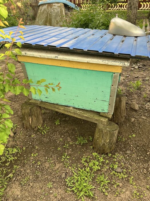 Продам вулики в хорошому стані
