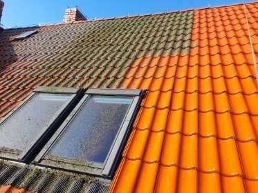 Mycie i Malowanie elewacji, dachów