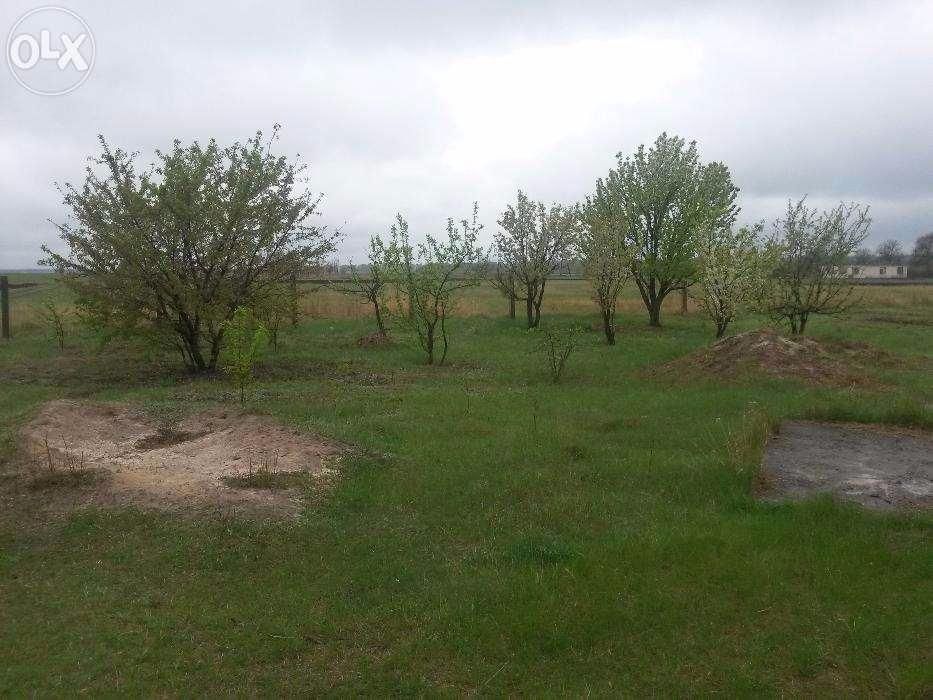 Земельный участок 25 соток