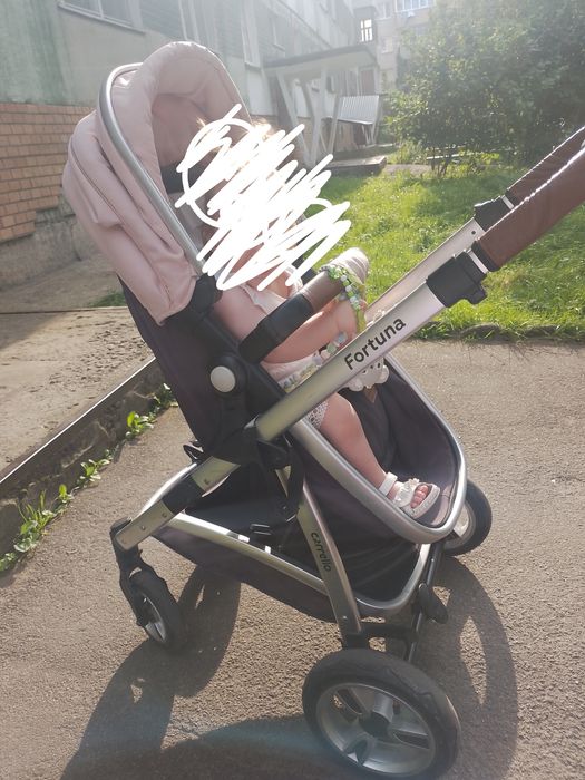 Carello fortuna 2в1