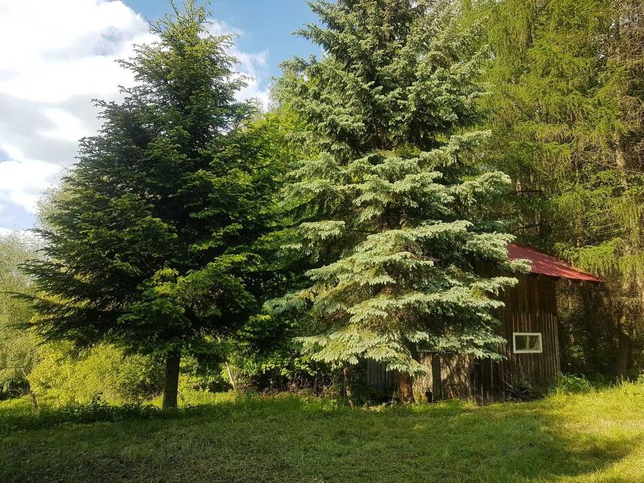 Siedlisko pod Rzeszowem – Królka, Tyczyn | 0,5085 ha | widokowa działka z mediami i domem - Widok 6