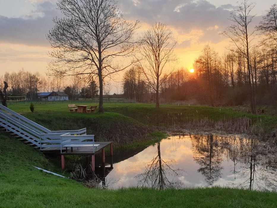 Zabłocie Sylwester! WOLNY