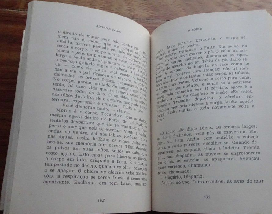 O Forte de Adonias Filho