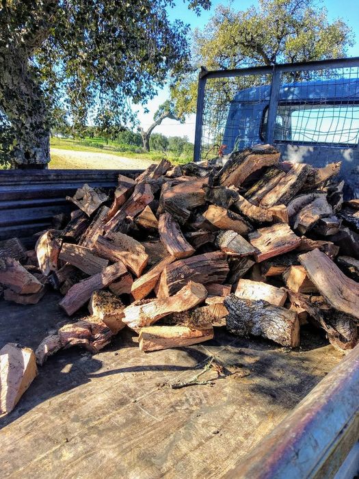 Lenha rachada de azinho