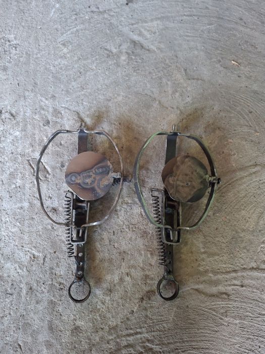 Средние капканы. .