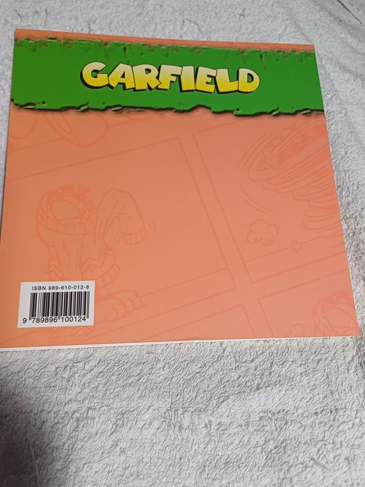 Garfield  Viva a Amizade