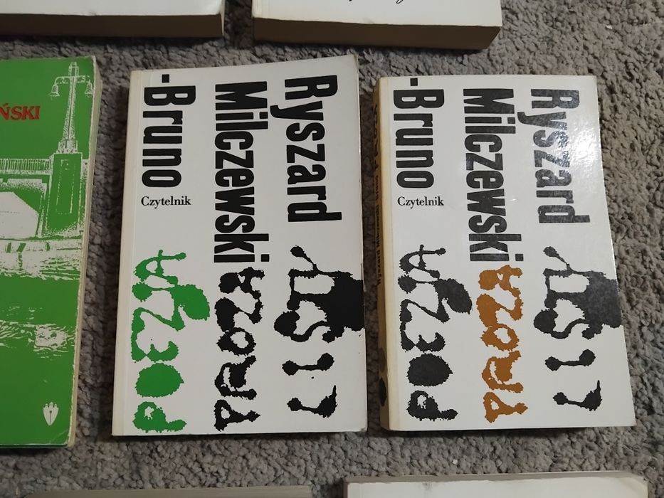 Porządki domowe książki