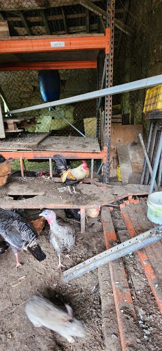 garnizos para mudar de casa