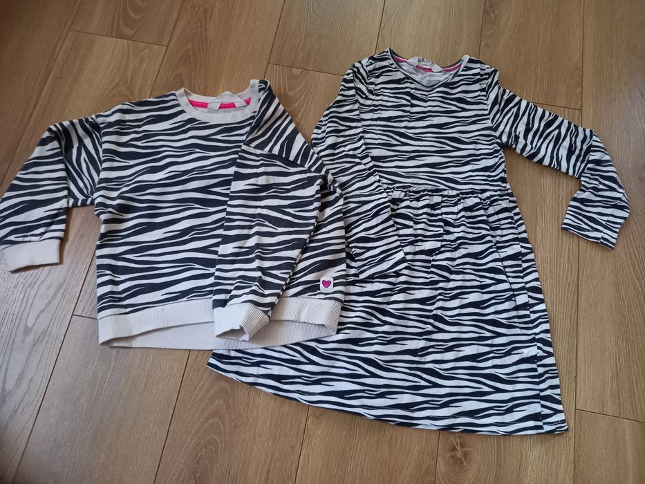 Zestaw zebra 110-116