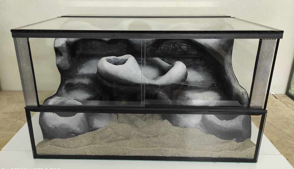 Terrarium dla żółwika wodno-lądowego, TW19ŻW, AquaWaves