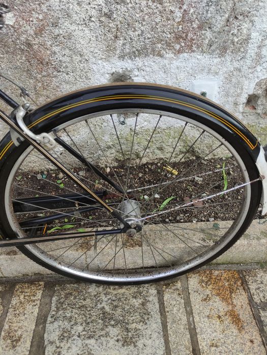 Bicicleta pasteleira roda 29