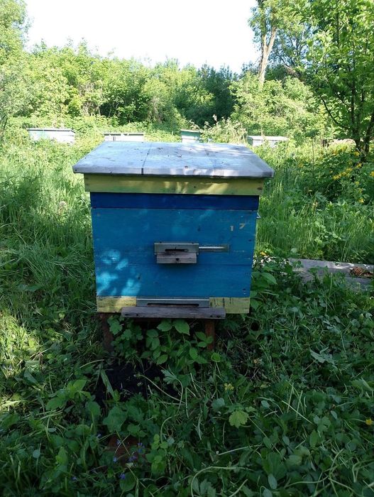 Продам вулики для бджіл