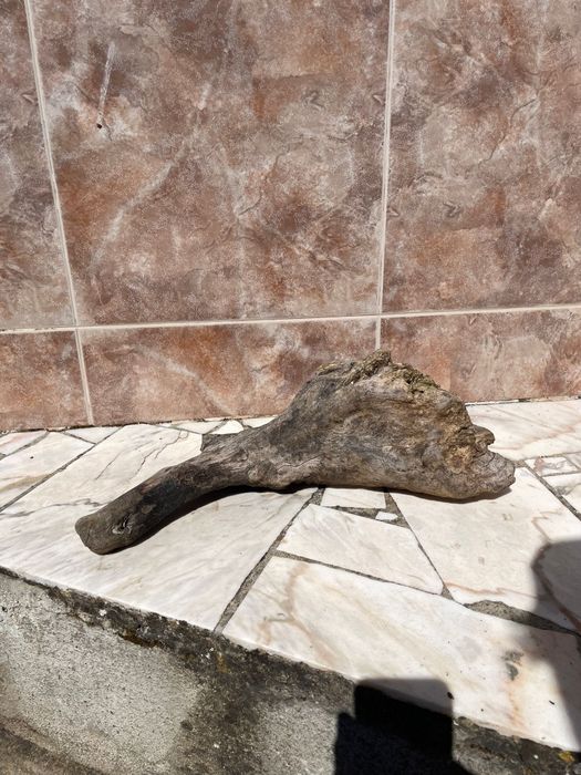Madeira para Terrário/Aquário - Mais informações dm