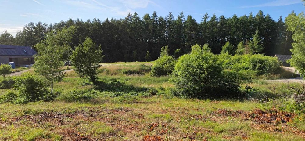 Malownicza działka budowlana Koszalin Lubiatowo 994m² – pohled 2