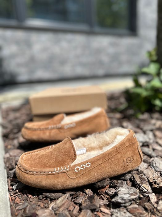 Оригінальні замшеві мокасини тапочки UGG Ansley Dacota