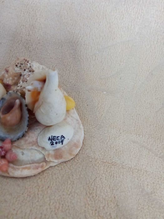 Presépio Miniatura Conchas Artesanal