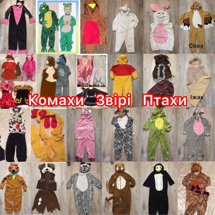 Костюм Восточная красавицаЖук  Г.Поттер Супергерой Жабка Сова Принцеса