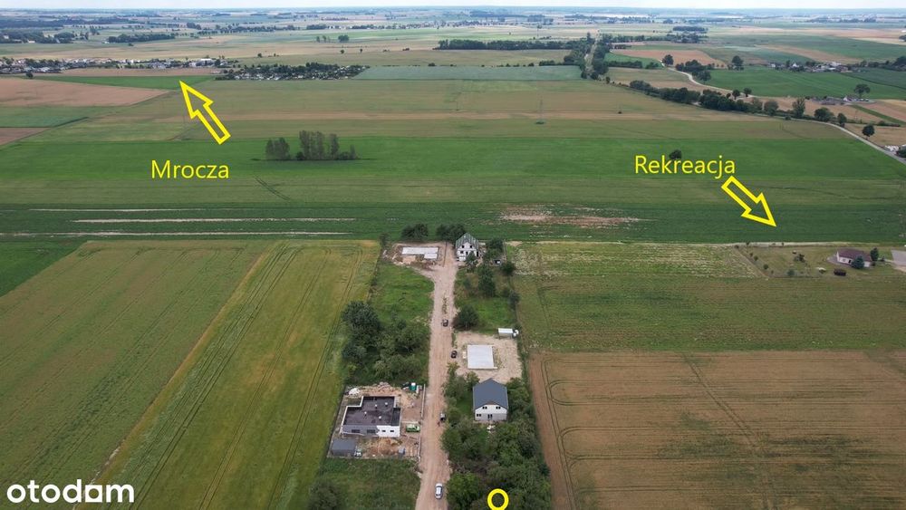 Działka, Białowieża