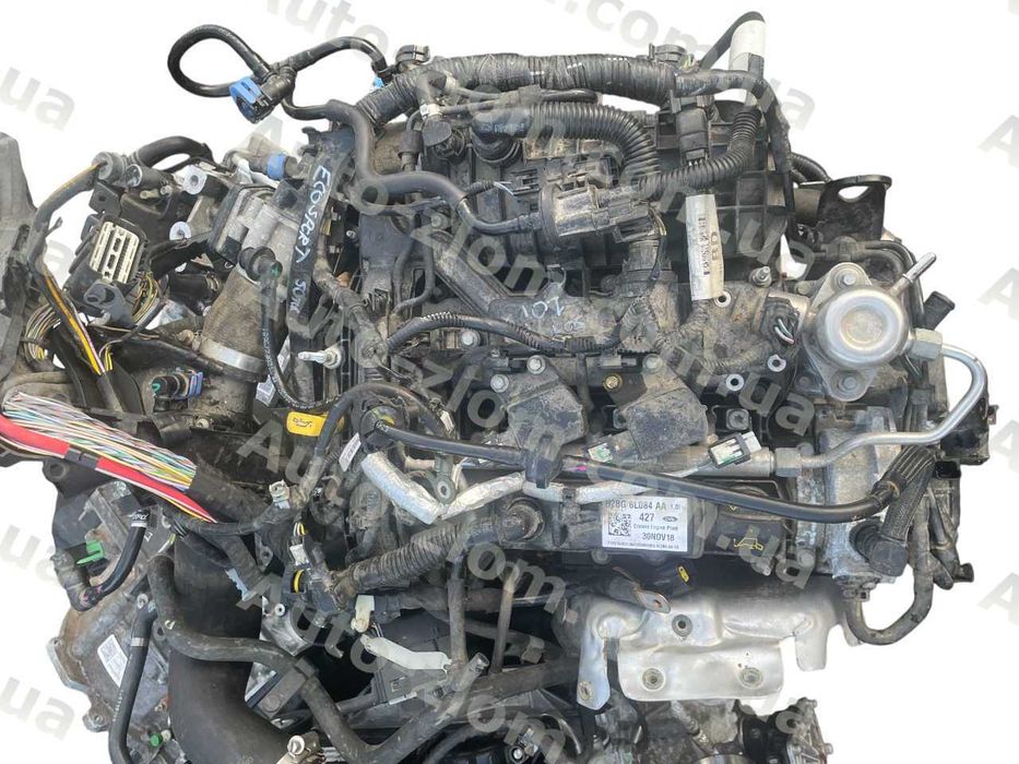 двигун, мотор Ford Ecosport, 1.0i, 2018-21