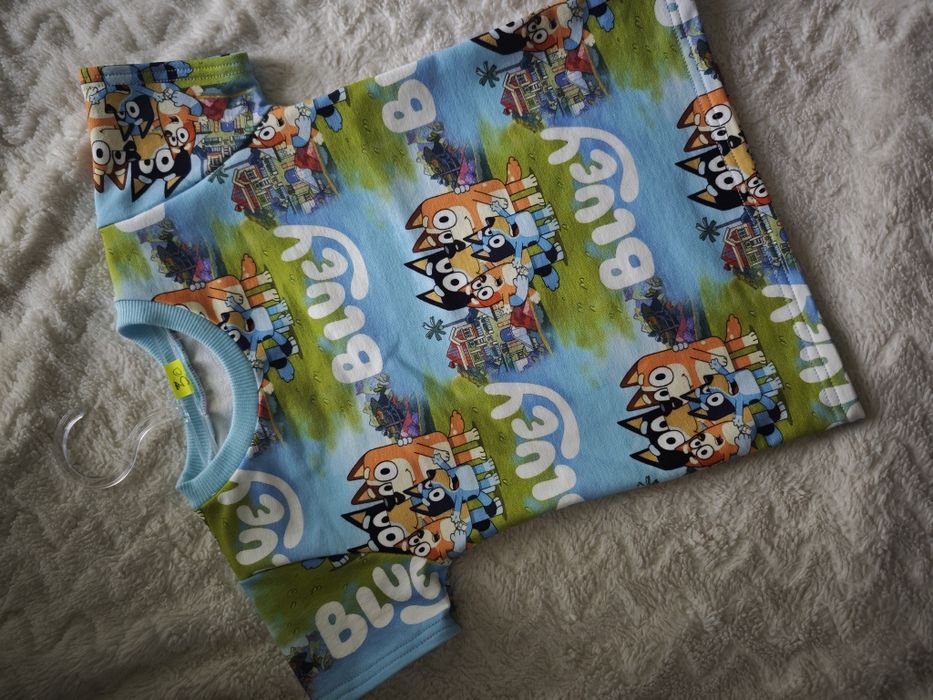 Koszulka Bluey i Bingo