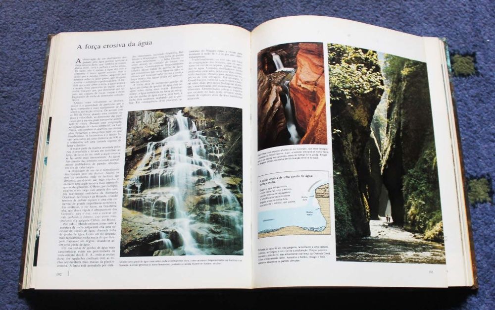 Ao encontro da natureza - Como explorar e apreciar o mundo fascinante