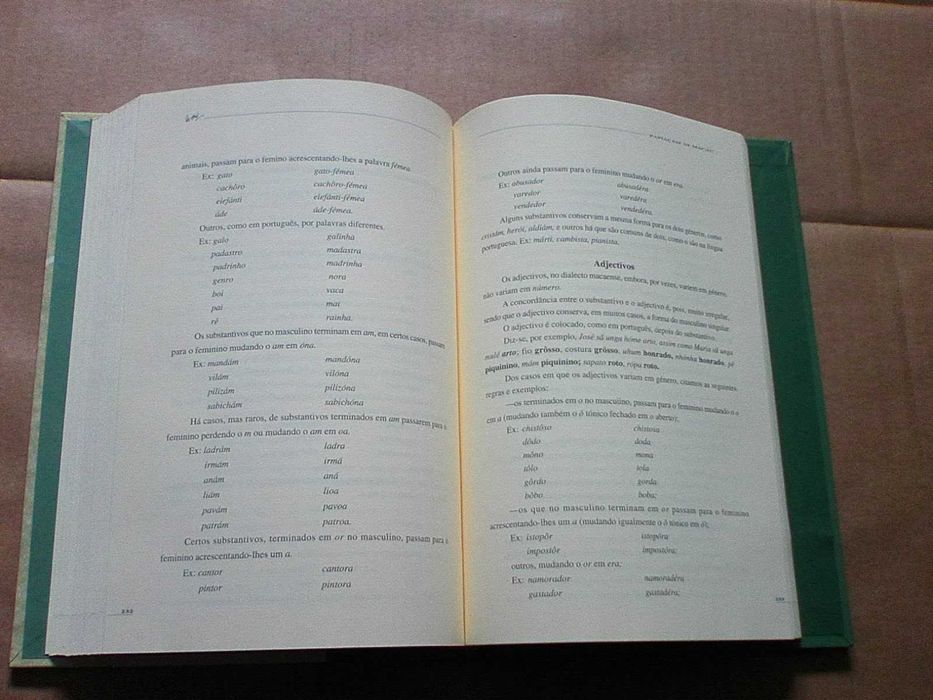 Papiaçám Di Macau  Dialecto Macaense