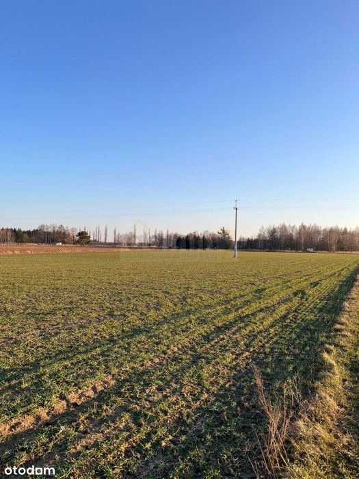 Działka budowlana 1142 m² z warunkami zabudowy Pod - Widok 2