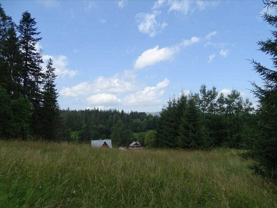 Działka Zakopane Chłabówka Górna 10a