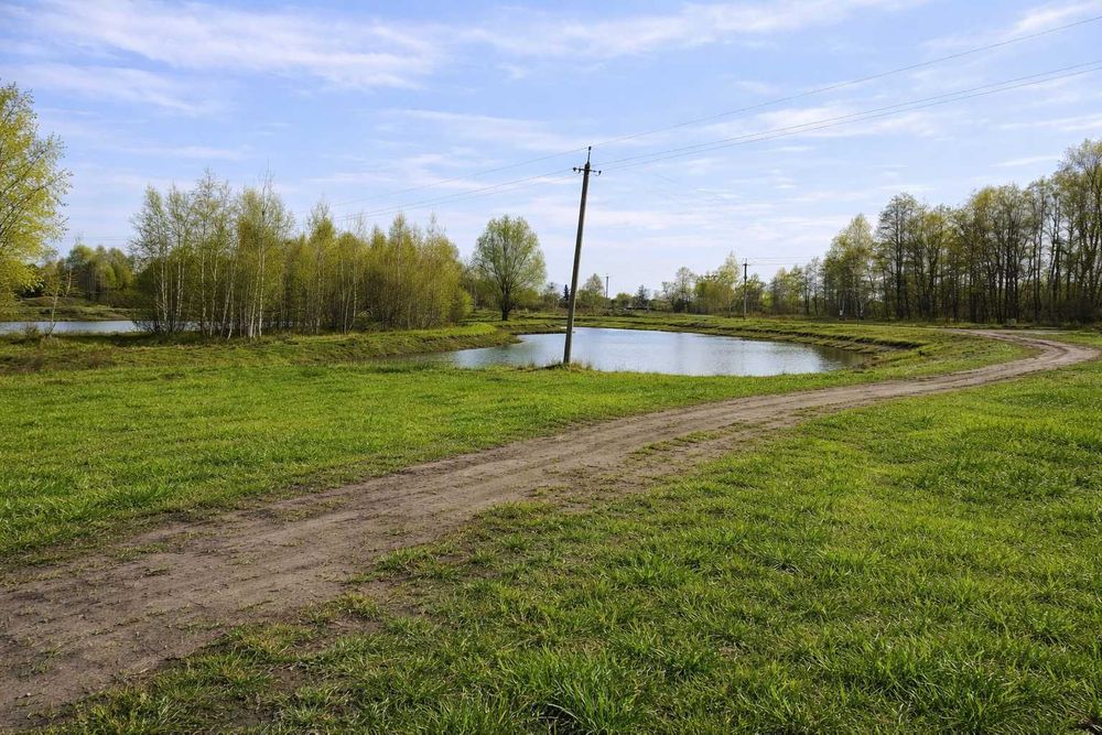 Вишгородський р-н, 10 га, під базу відпочинку або глемпінг.