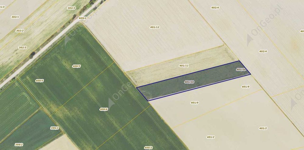 Działka Rolna Bronowo