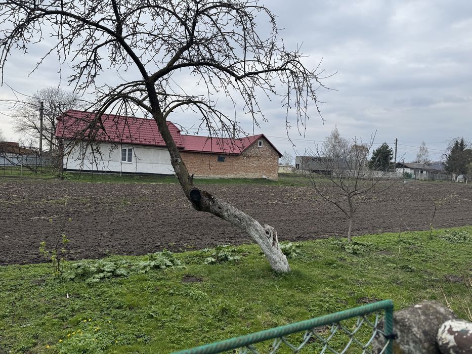 Житловий будинок з присадибною ділянкою в селі Піддністряни – pohled 3