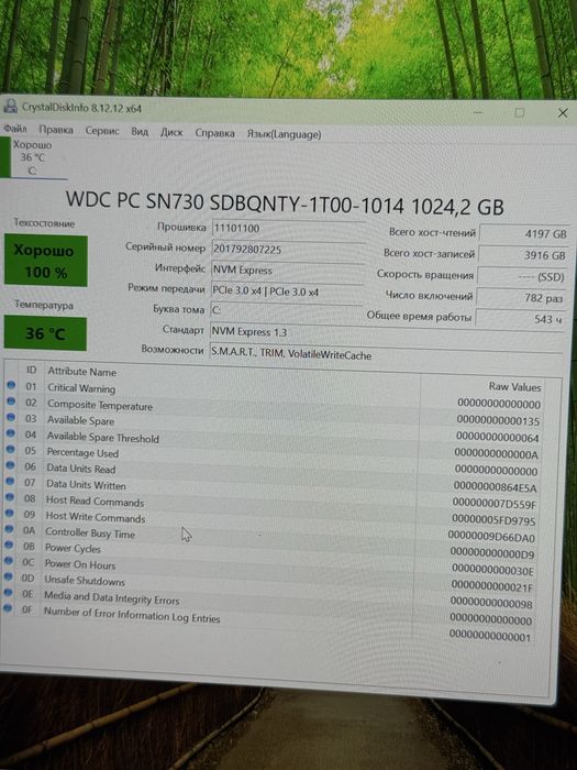 Ssd м2 1tb western digital для ноутбука компьютера