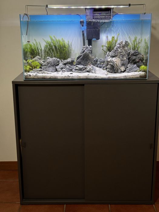 Aquário 120L COMPLETO com móvel +Kit  CO2 + plantas